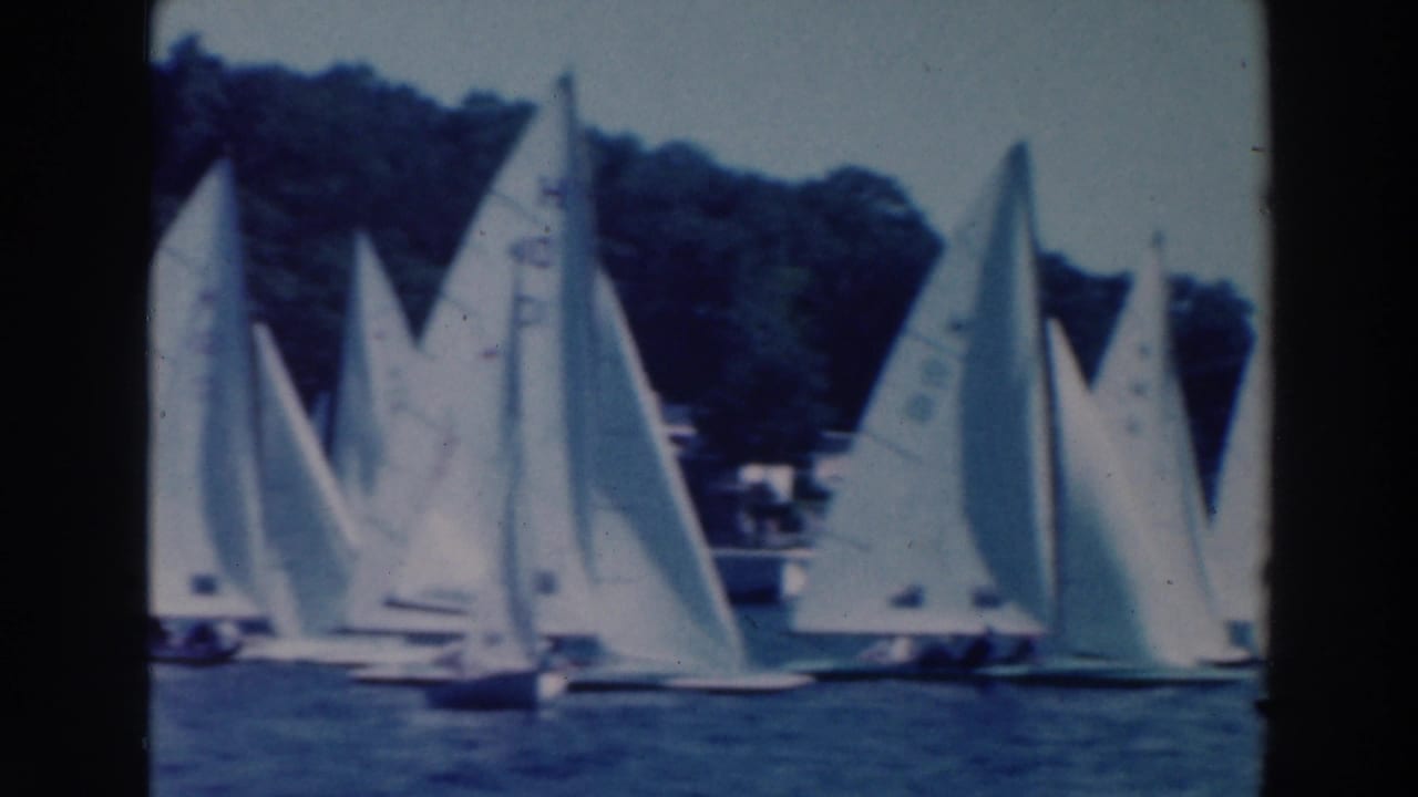 Small white sailboats cluster on a lake with wooded shoreline behind them.