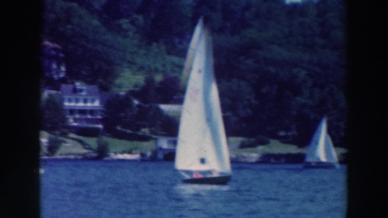 White sailboat on blue water with trees and a lakeside house in the background.