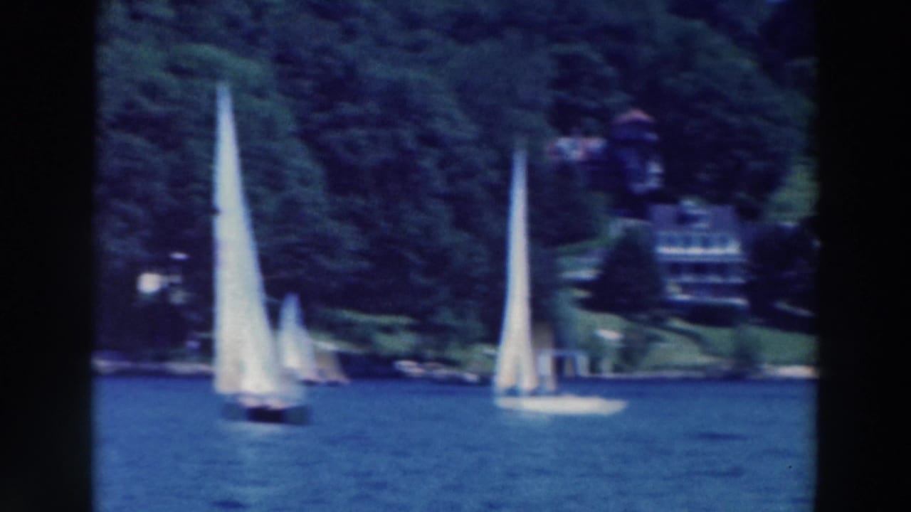 Multiple white sailboats travel across calm blue water near trees and shoreline homes in Tustin, Wisconsin.