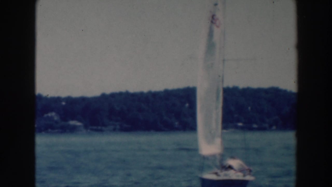 White sailboats move across a lake with a wooded shoreline in the background.