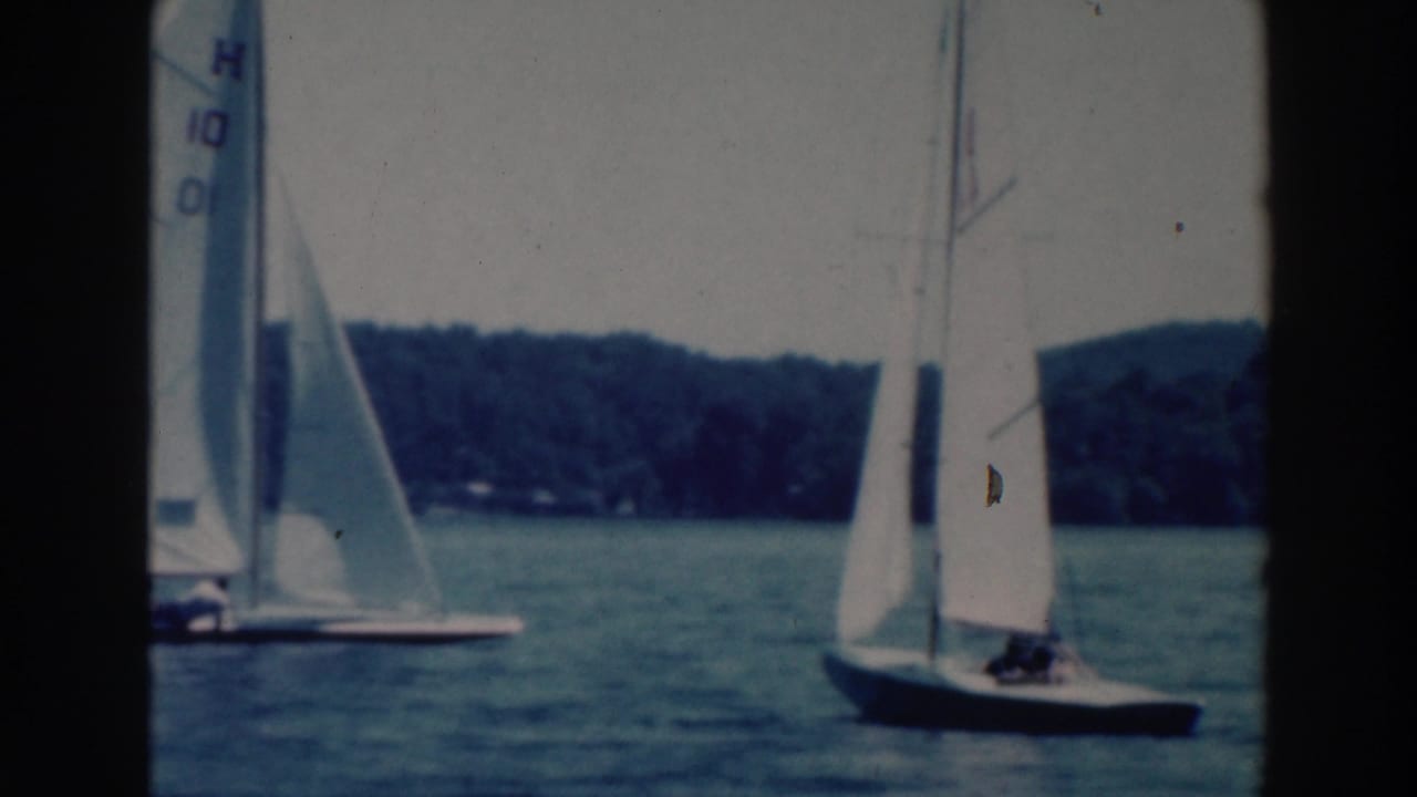 Small sailboats with white sails move across a lake with wooded shoreline behind them.