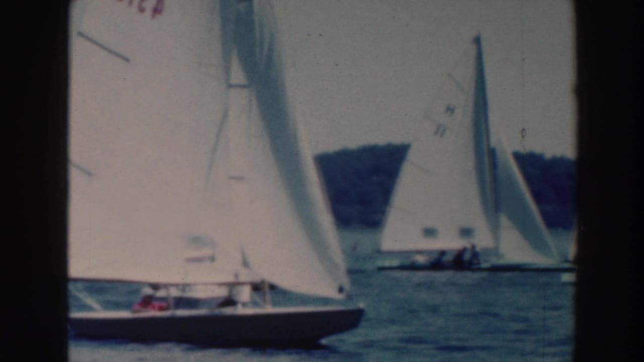 Sailboats with white sails cross a lake near a wooded shoreline.
