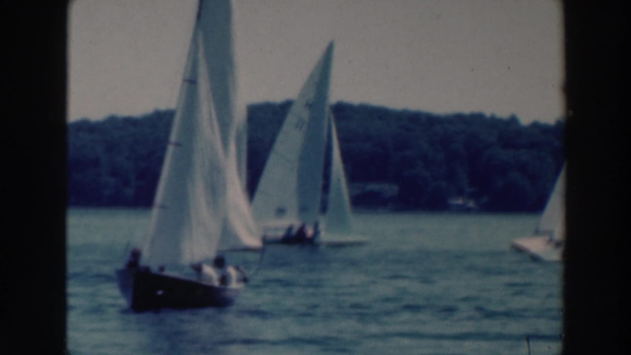 Several small sailboats with white sails move across a lake near a wooded shoreline.