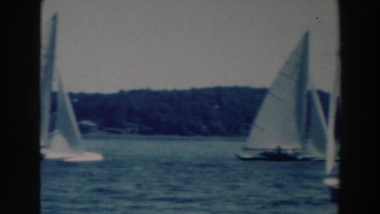Small sailboats with white sails move across a lake near a wooded shoreline.