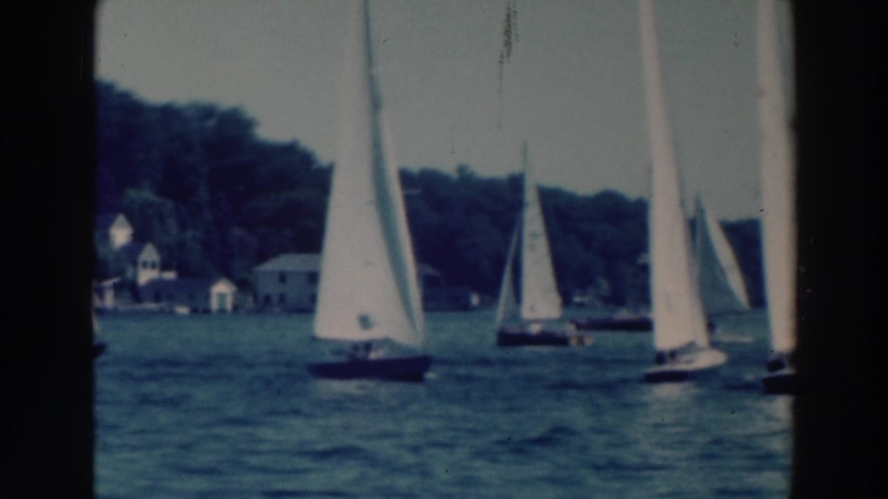 White sailboats on a lake with a wooded shoreline and houses in the distance.