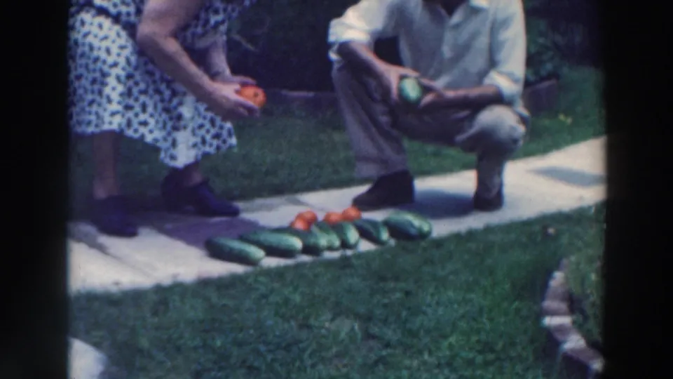 1964 Wisconsin home-movie frame of an elderly couple sorting cucumbers and tomatoes beside a lawn.