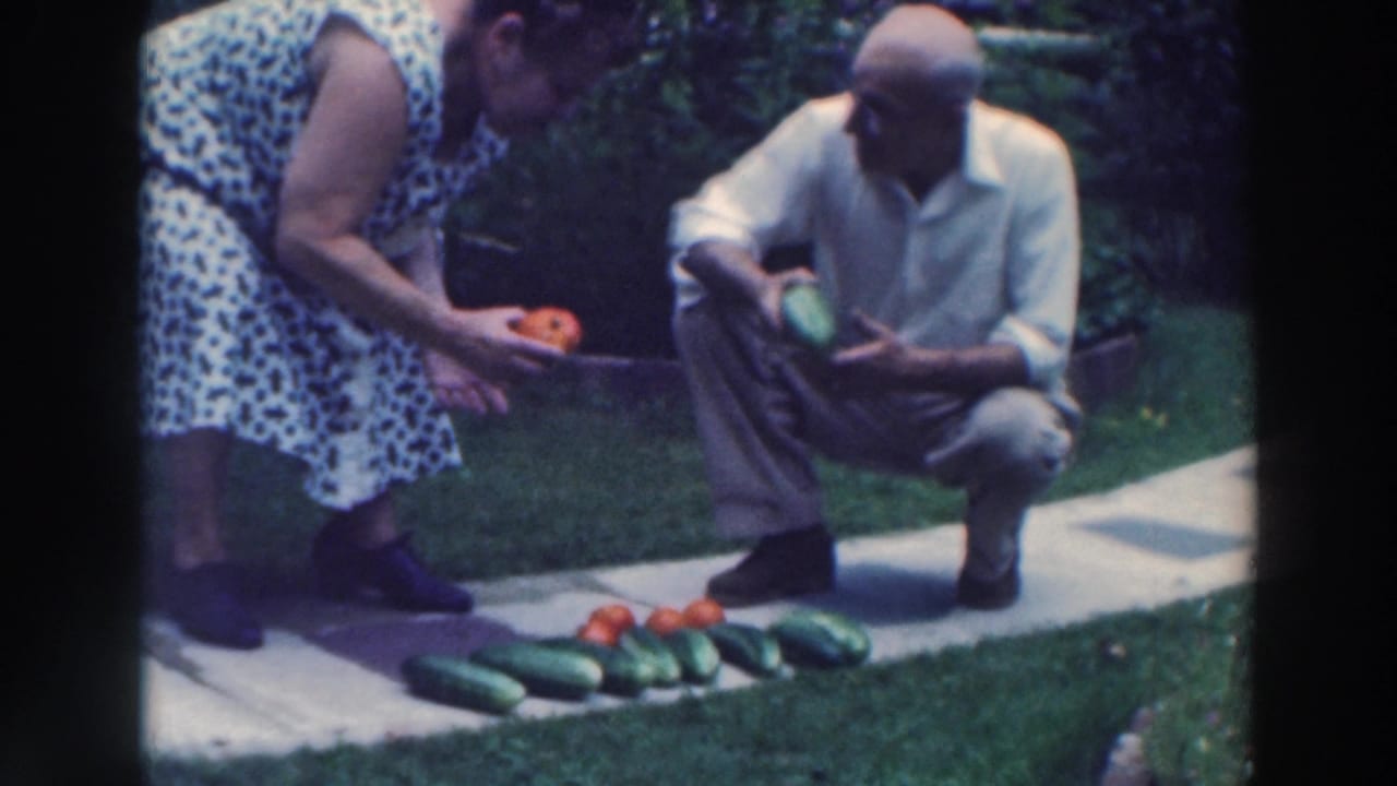 Elderly couple crouches by cucumbers and tomatoes on a backyard path.