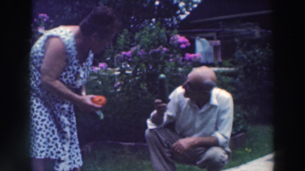 Woman in a polka dot dress shows vegetables to a squatting man in a backyard.