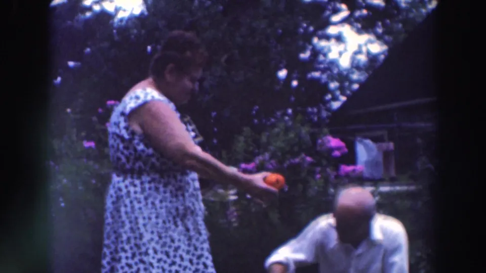 The woman reaches out with a tomato toward the squatting man, framed by flowers and backyard shade in 1964 Tustin, Wisconsin.