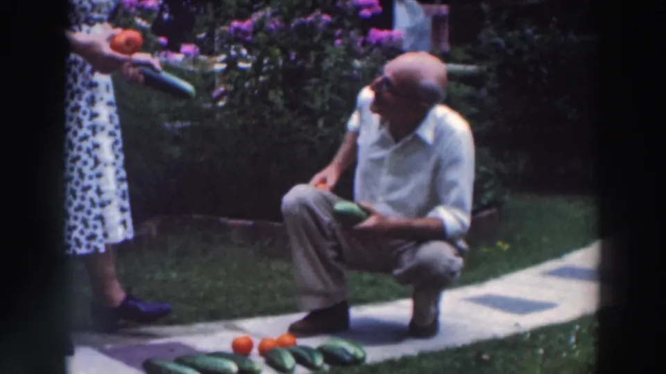 In the 1964 Tustin garden scene, a man with glasses crouches beside cucumbers and tomatoes while a woman holds more produce.