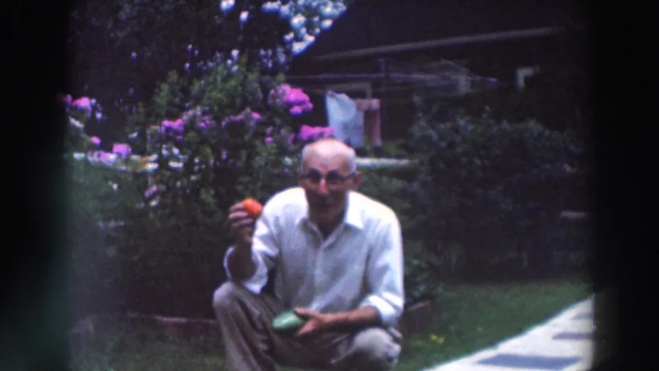 In the 1964 garden scene, the older man smiles toward the camera and raises a red tomato, with purple flowers behind him.