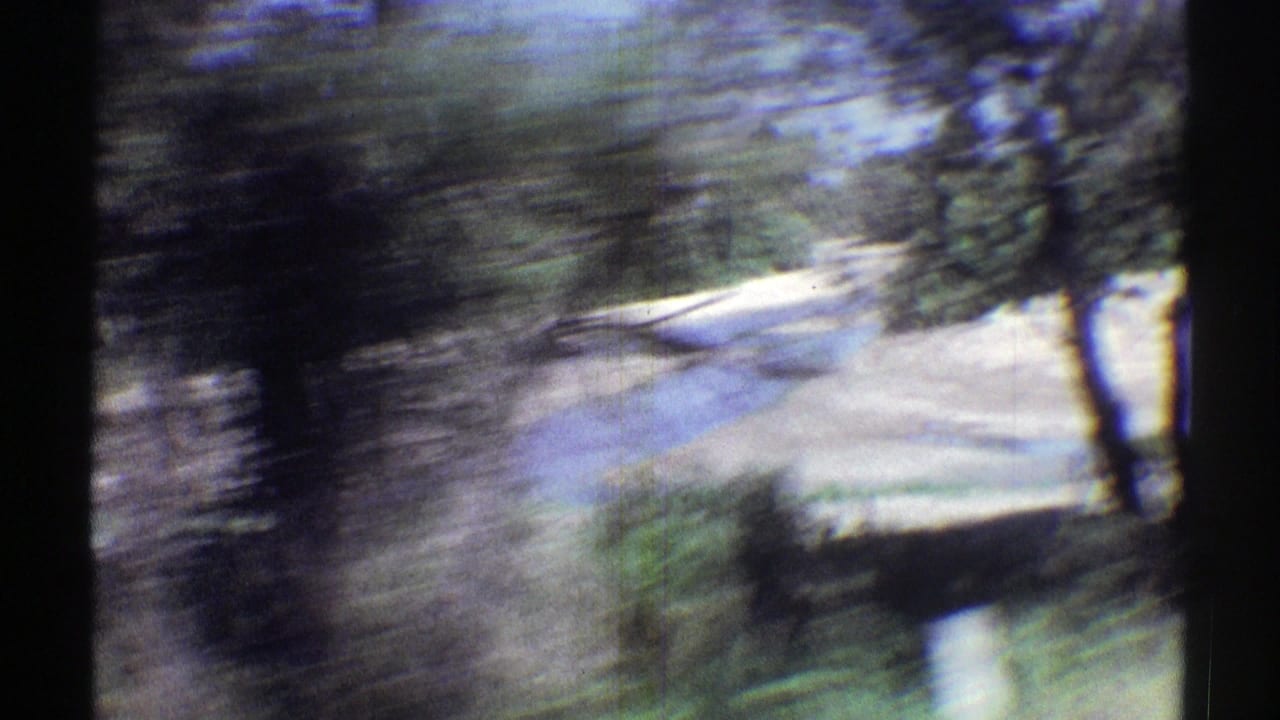 Motion-blurred trees and pale riverbank seen through dark frame edges.