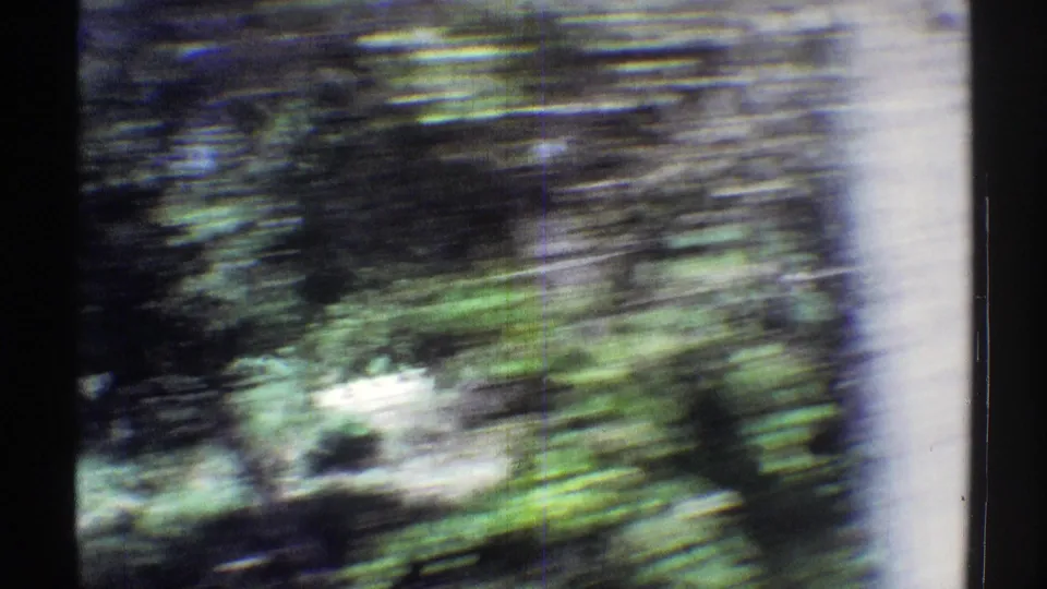 A heavily motion-blurred 1969 Nebraska roadside frame with trees, green brush, and a pale vertical shape near the car window view.