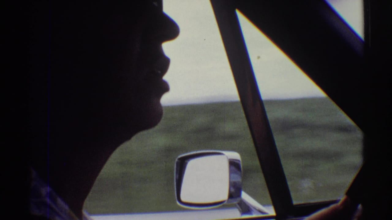 Silhouetted driver in profile beside a car window and side mirror.