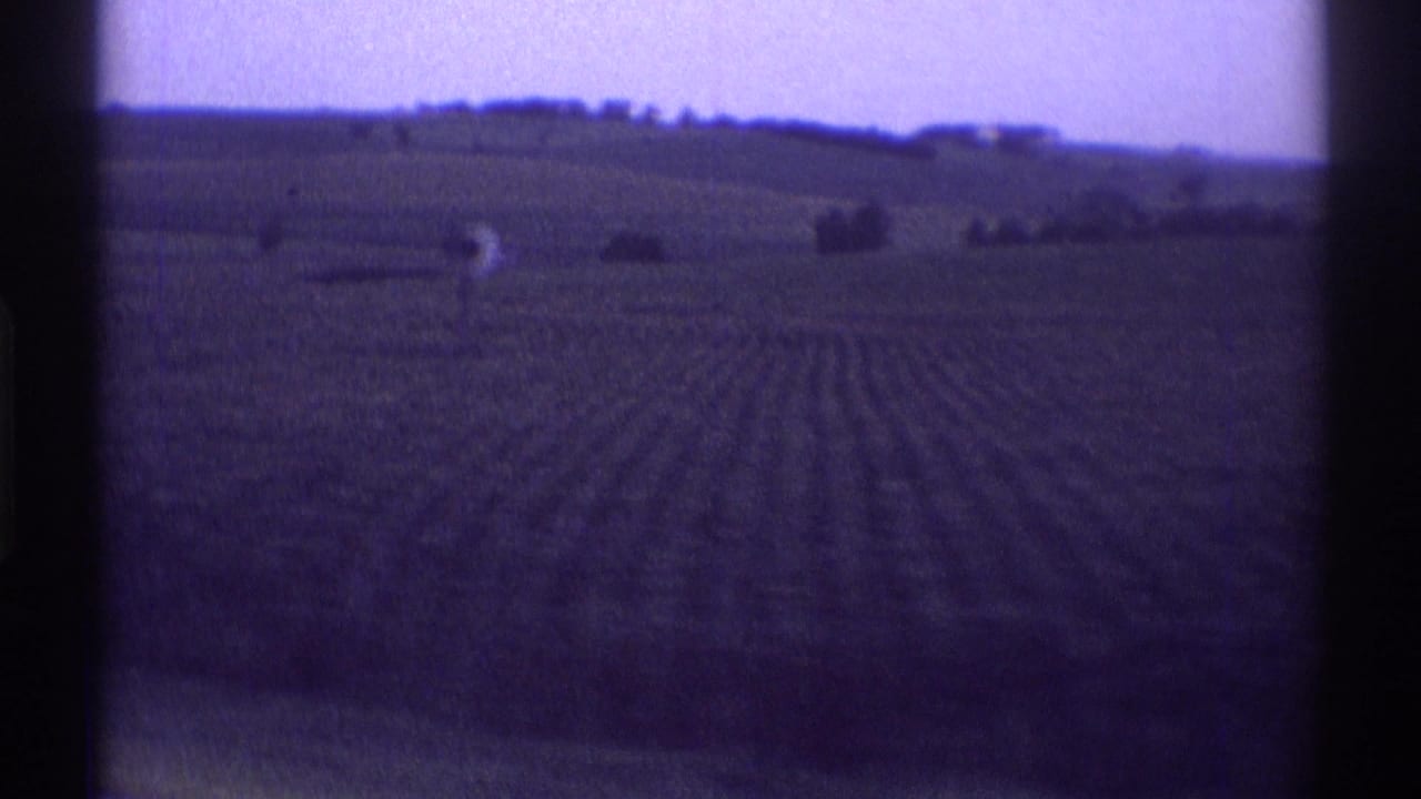 Rolling farmland with crop rows, low hills, scattered trees, and a purple-tinted sky.