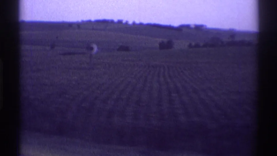 1969 8mm view near Clarendon Hills, Illinois showing crop rows across rolling farmland with distant trees and aged color shift.