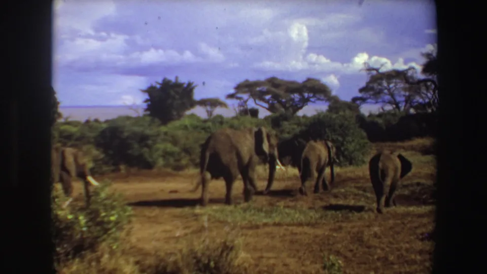 1969 Angola 8mm frame showing several elephants moving away across dry savanna grass under a blue sky with scattered clouds.