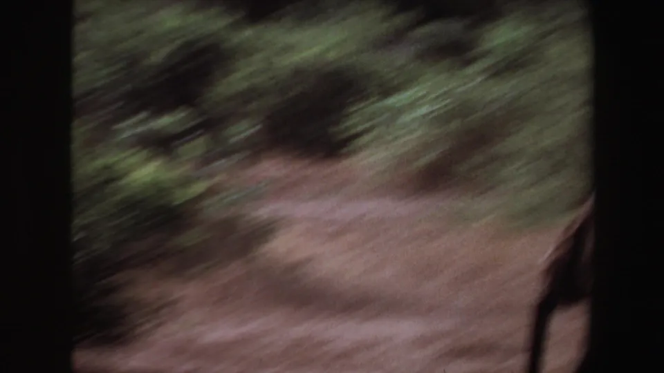 1969 Angola 8mm frame showing blurred brushland and dusty ground as the camera moves past the herd area.