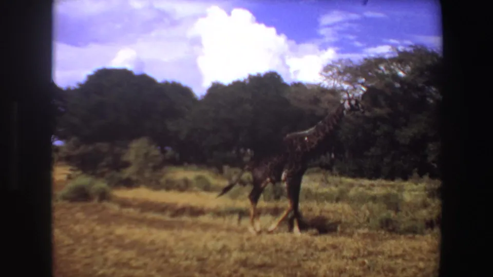1969 Angola 8mm frame with a giraffe walking rightward across a grassy savanna edge, backed by trees and white clouds.