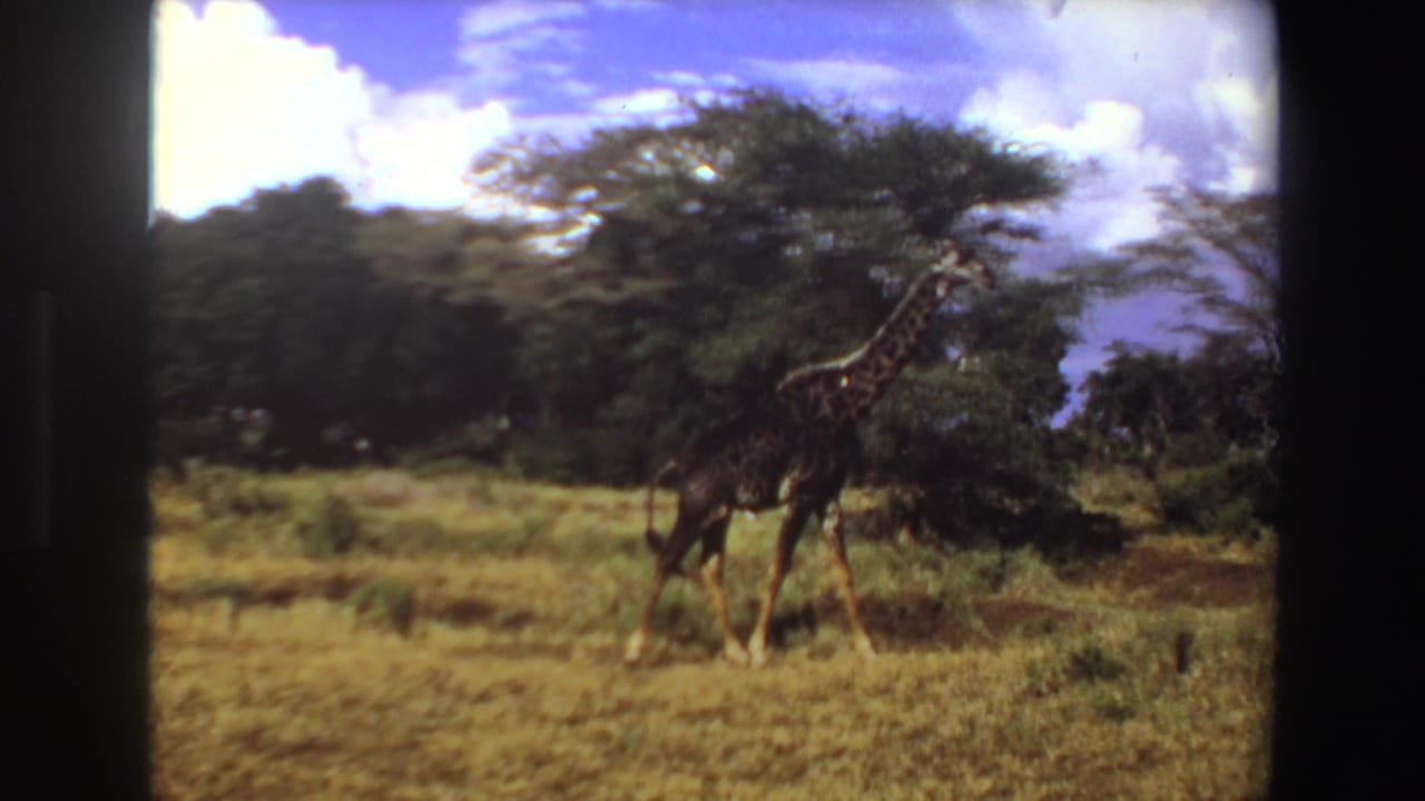 1969 Angola 8mm frame showing a giraffe crossing grassy plains near acacia-like trees and scattered clouds.
