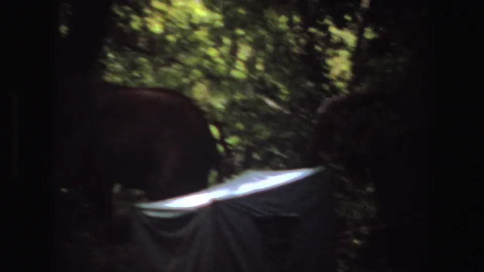 1969 Angola 8mm frame with an elephant moving through dim forest near a tarp-like campsite object.