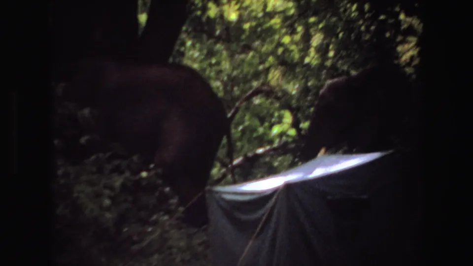 1969 Angola 8mm frame showing two elephants in shaded forest with a dark tarp or tent at lower right.