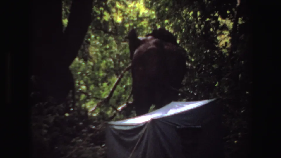 1969 Angola 8mm frame with an elephant seen from behind in shaded greenery, close to a pale tarp or shelter edge.