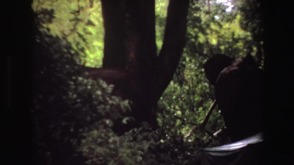 1969 Angola 8mm frame showing a large elephant moving through dense shaded forest, with foliage and tree trunks obscuring much of the view.
