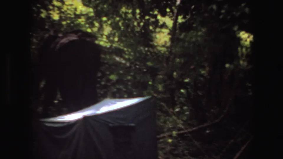 1969 Angola 8mm frame showing the elephant’s dark mass behind foliage, with a bright sheet-like surface and branches in the foreground.