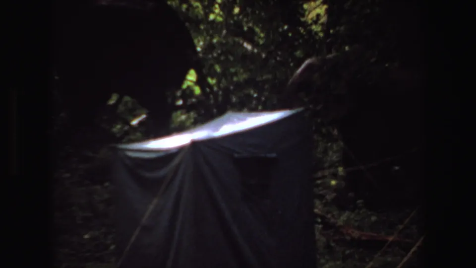 1969 Angola 8mm frame with elephant silhouettes in a shaded forest setting, partially blocked by trees and a pale tarp-like foreground shape.