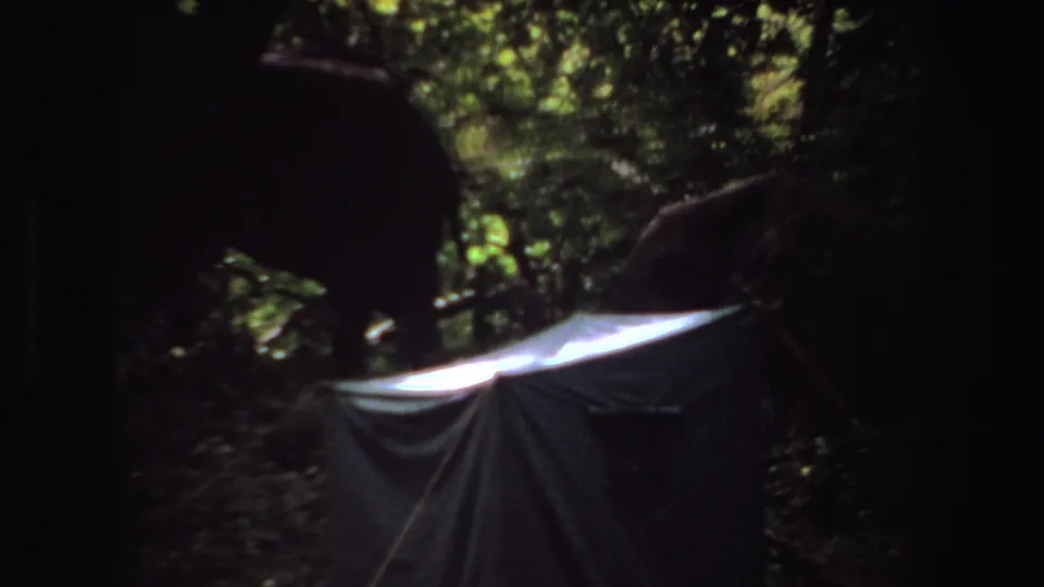 1969 Angola 8mm frame showing a tusked elephant partly hidden by darkness and trees, with foliage and a pale tarp-like foreground form.
