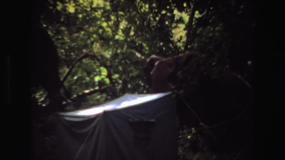 1969 Angola 8mm frame with elephants mostly obscured in deep shade, framed by bright forest leaves and a pale tarp-like foreground shape.