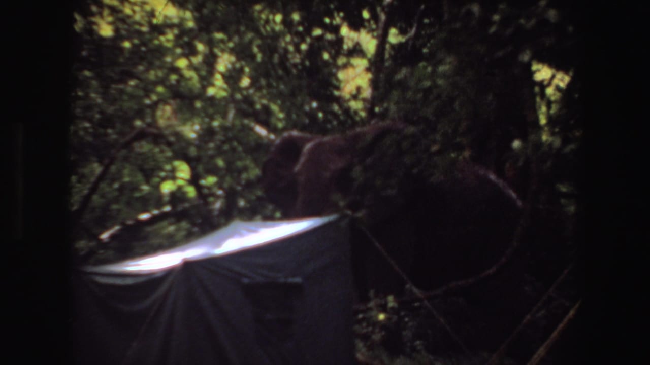 1969 Angola 8mm frame showing a shaded canvas tent or tarp structure under dense green trees, with bright sun on the roof edge.