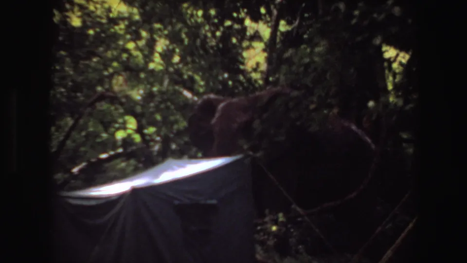 1969 Angola 8mm frame showing a shaded canvas tent or tarp structure under dense green trees, with bright sun on the roof edge.