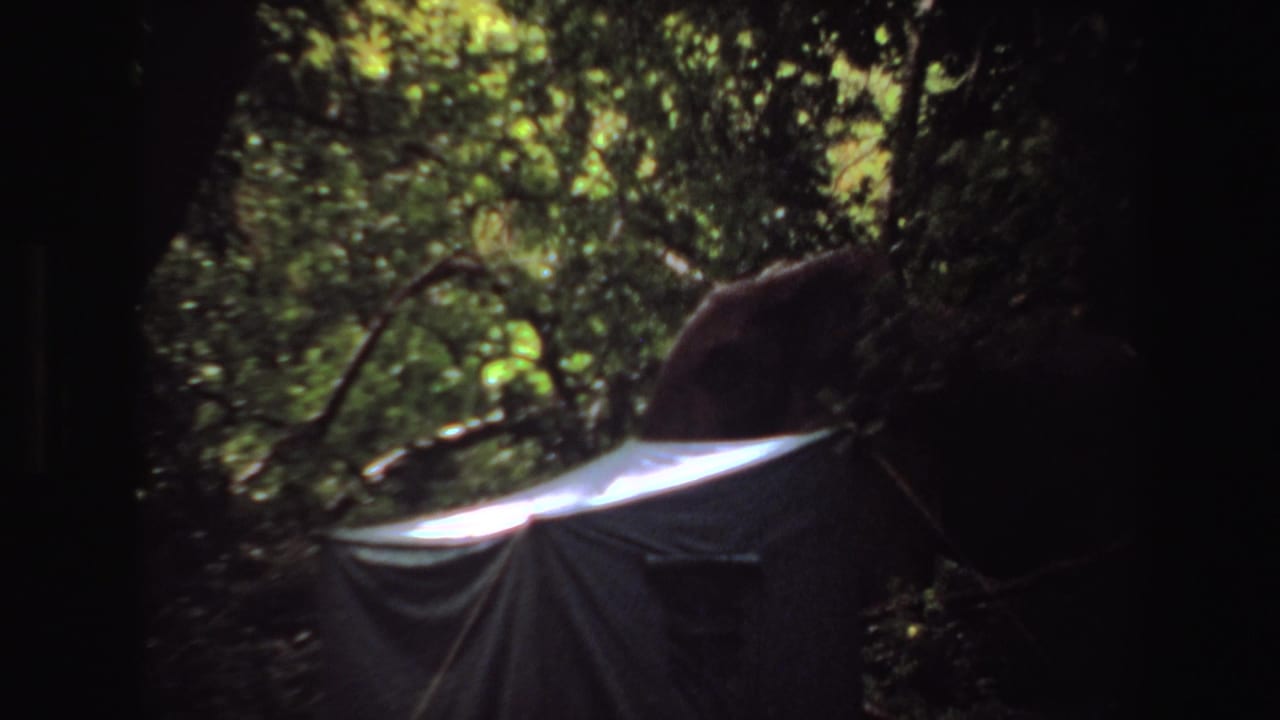 1969 Angola home-movie frame of a dark tarp or tent form in a wooded area, partly obscured by branches and deep shade.