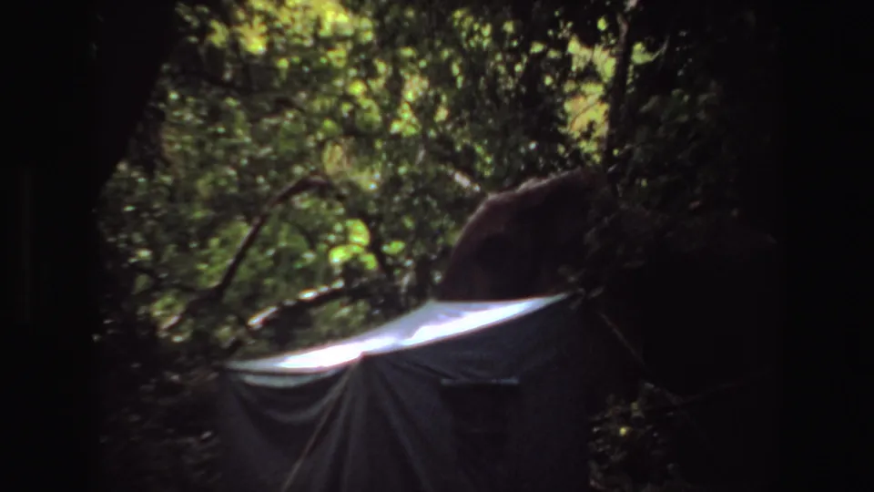 1969 Angola home-movie frame of a dark tarp or tent form in a wooded area, partly obscured by branches and deep shade.