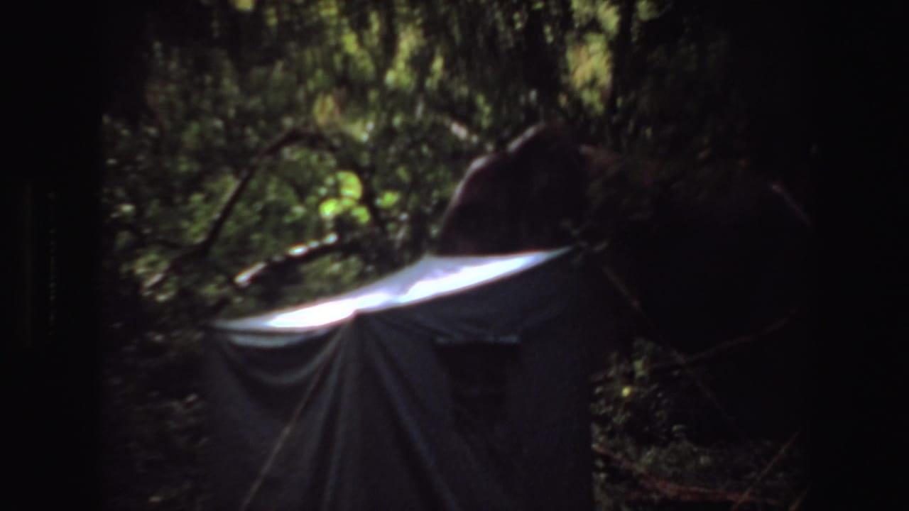 1969 Angola 8mm frame showing dense woodland, dappled light, and a pale tarp-like fabric partly covering a dark form.