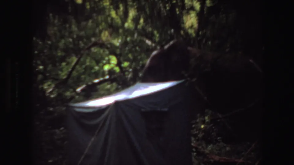 1969 Angola 8mm frame showing dense woodland, dappled light, and a pale tarp-like fabric partly covering a dark form.