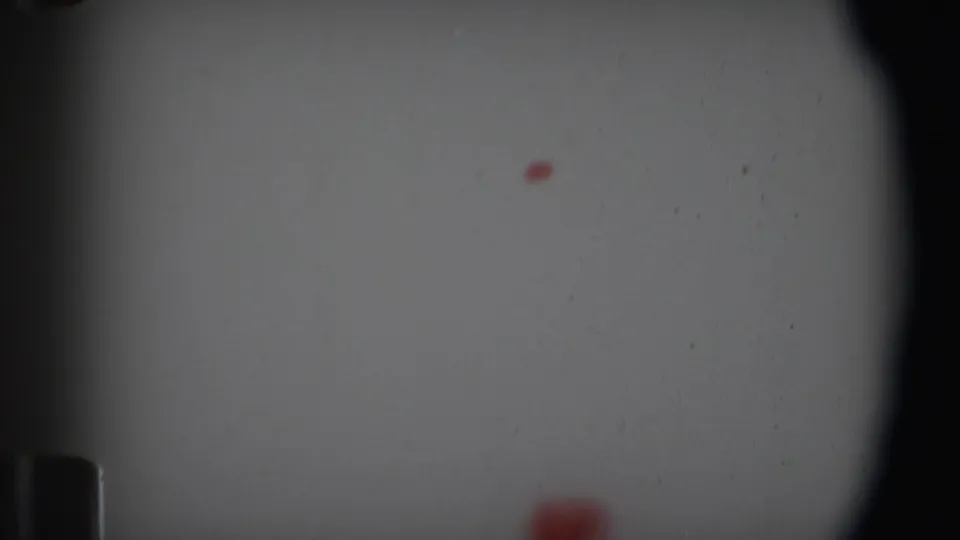 1969 Angola-attributed 8mm frame showing a small red spot on a pale field, with grain, dust, dark edges, and contact-sheet seam visible.