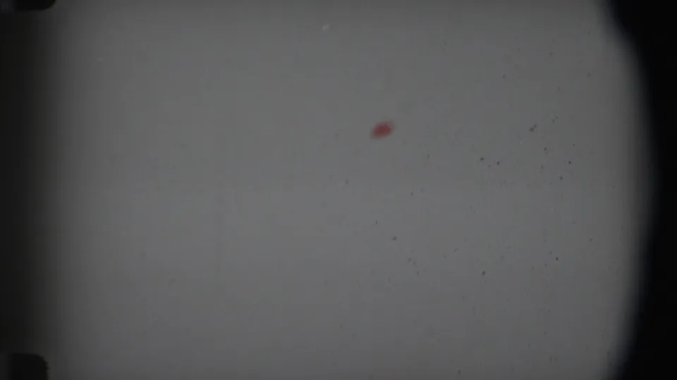 1969 Angola-attributed 8mm frame with a small red mark on a pale surface, darkened edges, visible grain, and minor dust specks.