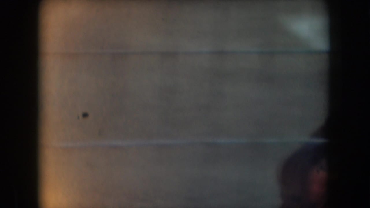 Blurred cage interior with wire mesh and a partially visible monkey at the lower right.