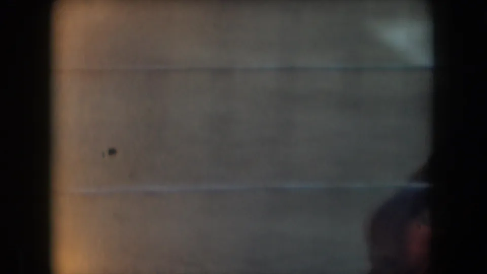 1961 California 8mm frame showing a soft, blurred view through cage wire with the monkey partly obscured near the lower right.