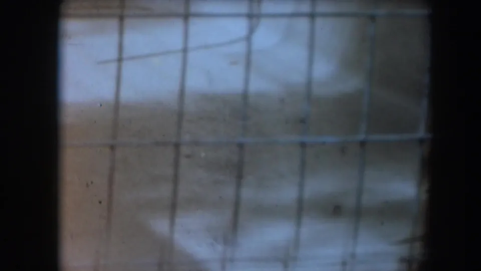 1961 California 8mm zoo footage appears to look through wire mesh at a softly lit animal enclosure with no clear animal face visible.