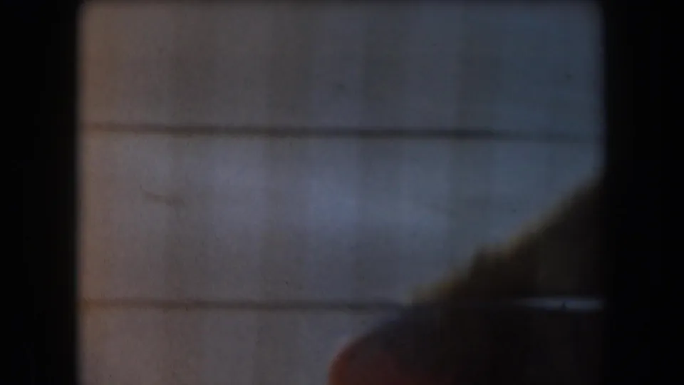 A dark, partially obscured animal shape appears behind wire mesh in the 1961 California zoo home-movie footage.