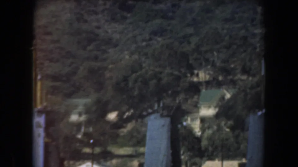 1961 California home-movie view of a wooded waterfront hillside and pale dockside structure through dark vertical posts.