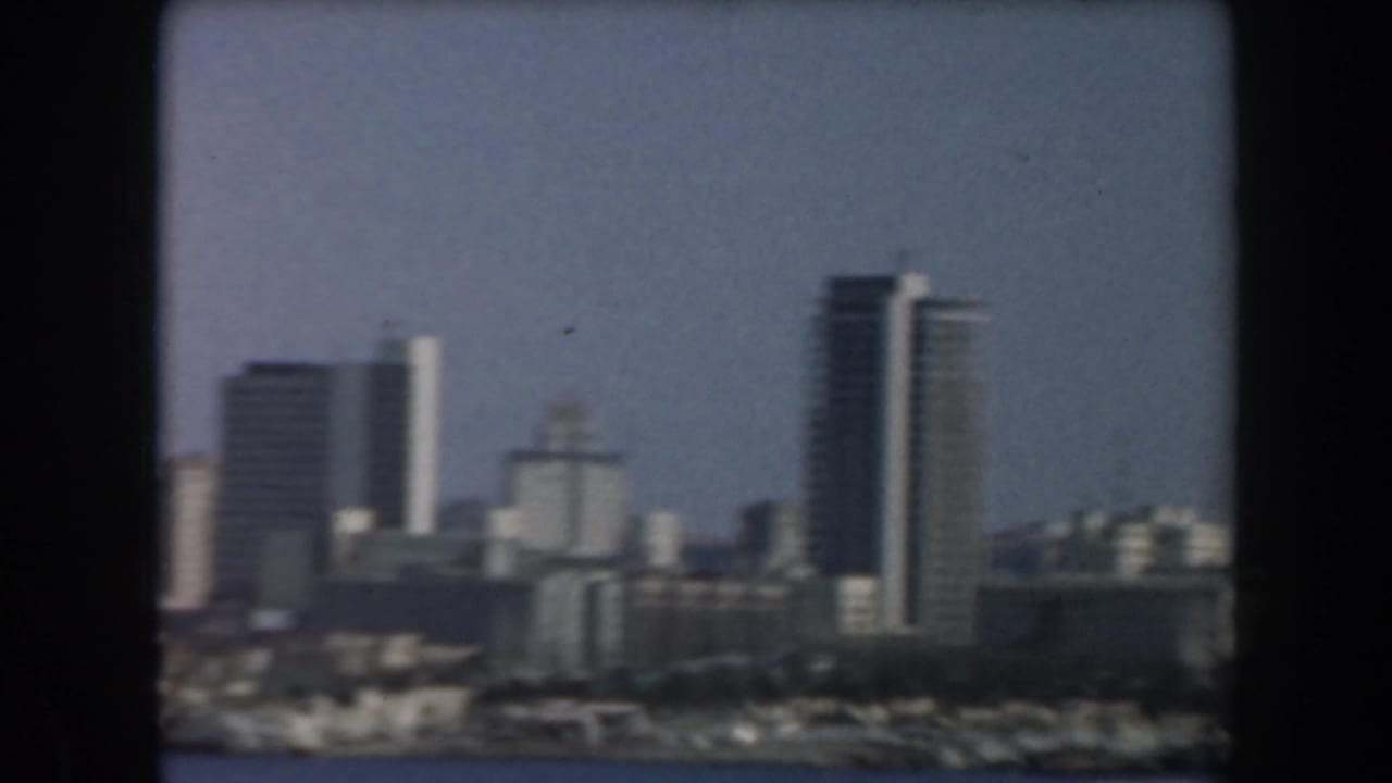 Distant city skyline with tall buildings beyond the harbor.
