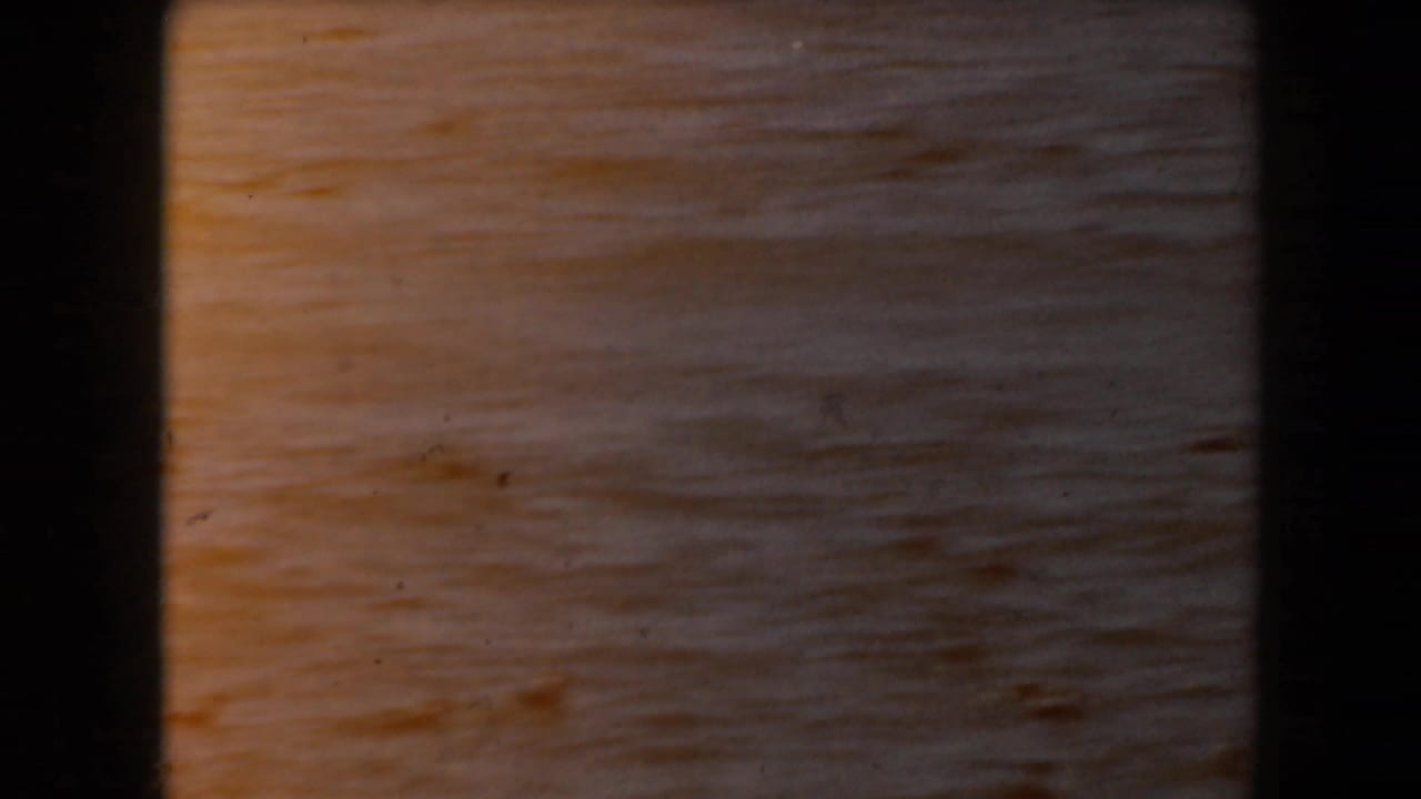 Warm-toned ocean surface with scattered birds in the distance.