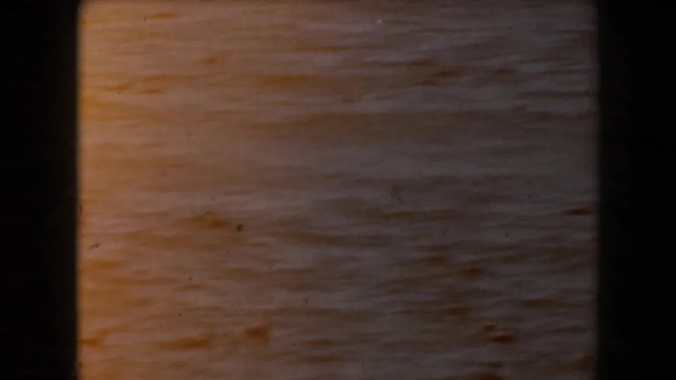 Warm, low-light 8mm view of ocean water with small distant birds spread across the rippled surface in California.