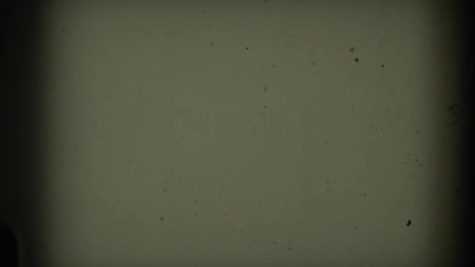 Greenish 8mm frame with soft exposure, visible dust, and minimal discernible subject detail from the clip transition.