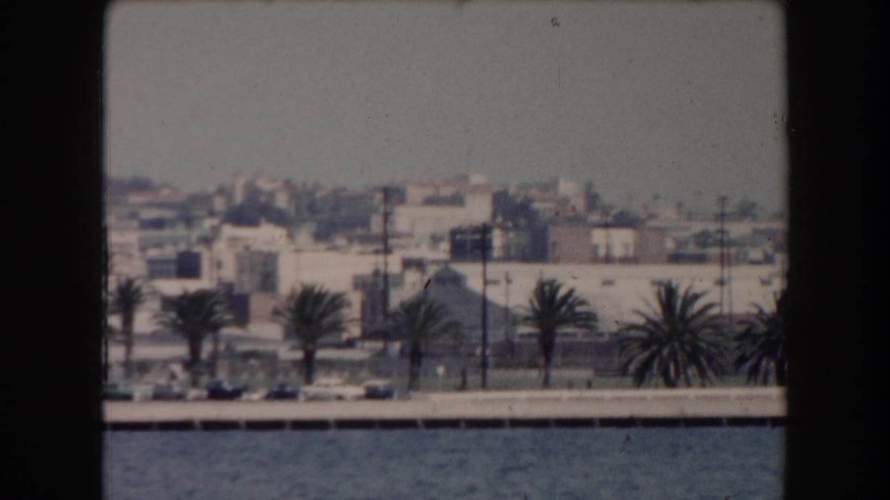 1961 California waterfront city view with palm-lined shore, parked cars, low-rise buildings, and hazy sky.